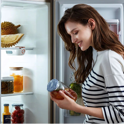 Morphy Richards Rechargeable Fridge Deodorizer MR2060