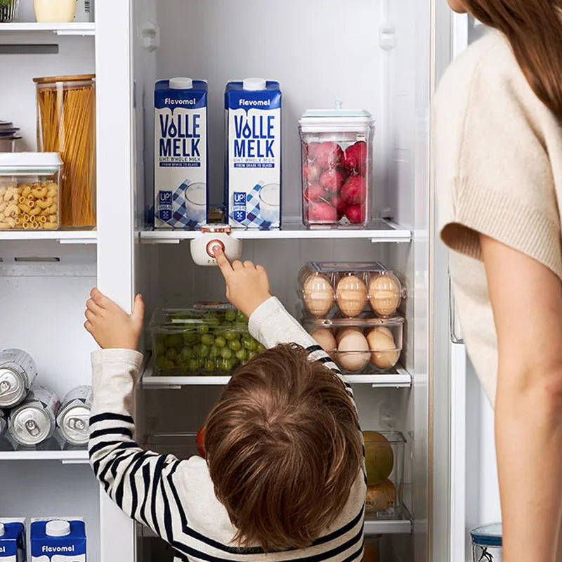 Morphy Richards Rechargeable Fridge Deodorizer MR2060